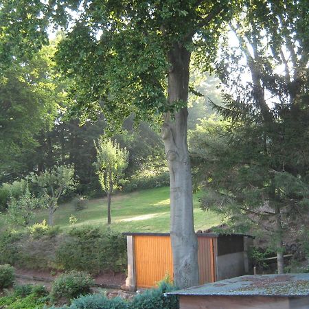 Ferienwohnung Sauerland Panorama Korbach Exterior photo